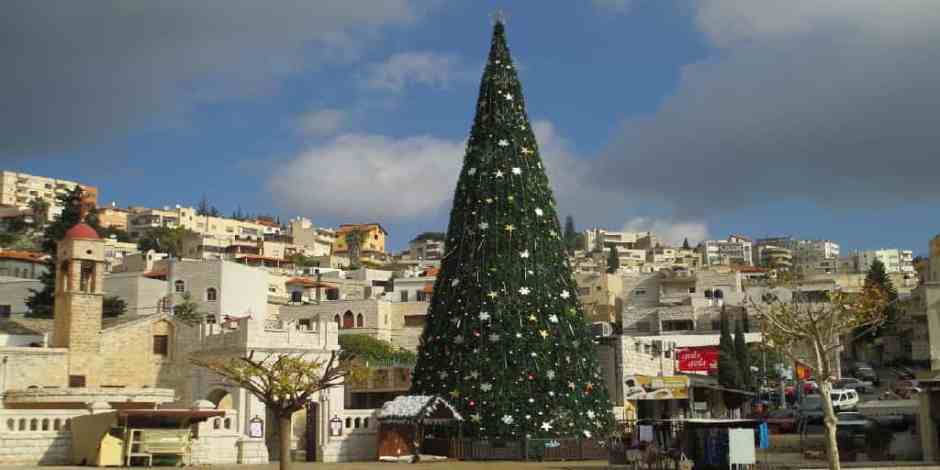 Christmas-Tree Christmas in the Holy Land