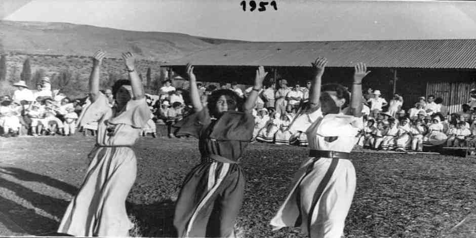 Learn about the Holiday of Shavuot