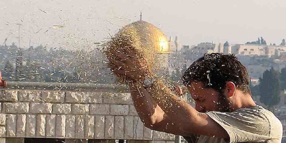 Shavuot-harvest What are you eating on Shavuot 2017?!