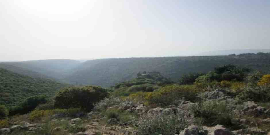 How Should We Celebrate Lag B’Omer?